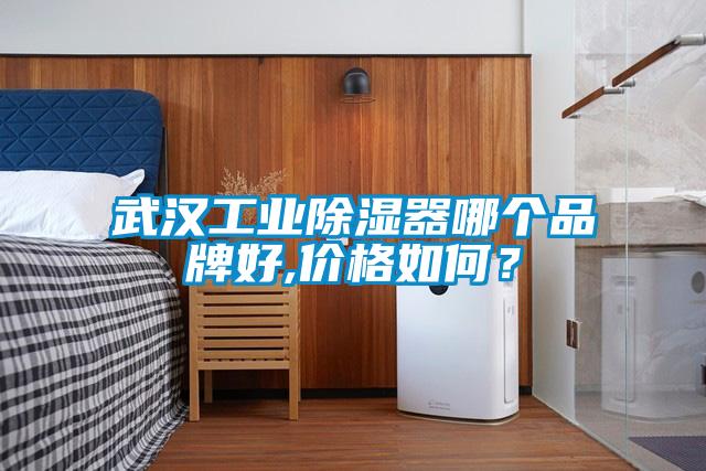 武漢工業除濕器哪個品牌好,價格如何？