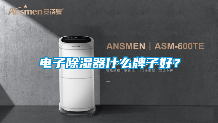 電子除濕器什么牌子好？