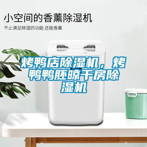 烤鴨店除濕機，烤鴨鴨胚晾干房除濕機