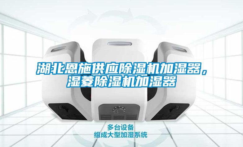 湖北恩施供應除濕機加濕器，濕菱除濕機加濕器