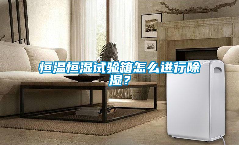 恒溫恒濕試驗箱怎么進行除濕？