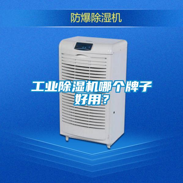 工業除濕機哪個牌子好用？