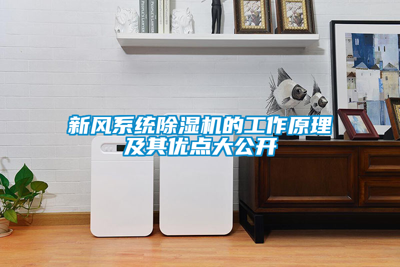 新風系統除濕機的工作原理及其優點大公開