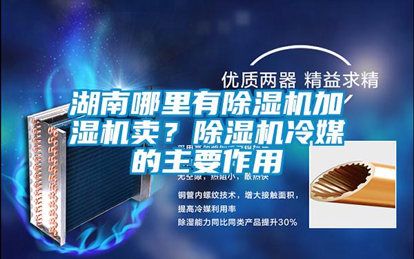湖南哪里有除濕機加濕機賣？除濕機冷媒的主要作用