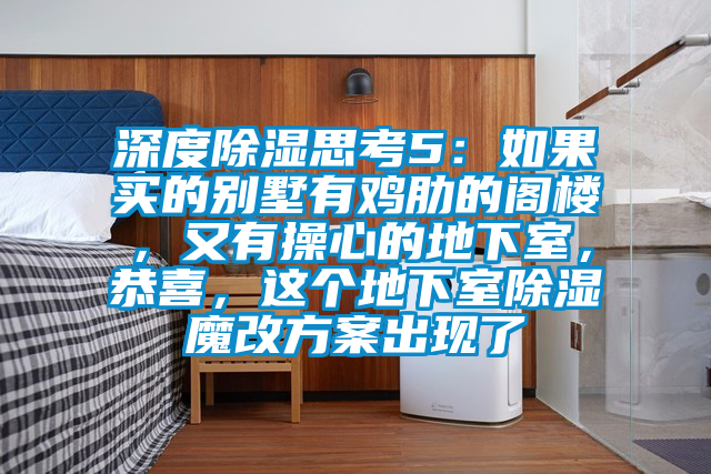 深度除濕思考5：如果買的別墅有雞肋的閣樓，又有操心的地下室，恭喜，這個地下室除濕魔改方案出現了