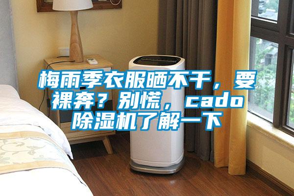 梅雨季衣服曬不干，要裸奔？別慌，cado除濕機了解一下
