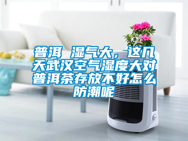 普洱 濕氣大，這幾天武漢空氣濕度大對普洱茶存放不好怎么防潮呢