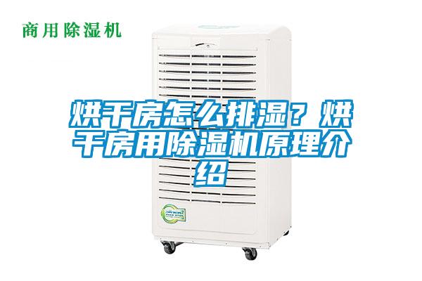 烘干房怎么排濕？烘干房用除濕機原理介紹