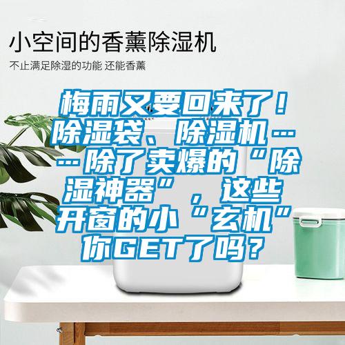 梅雨又要回來了！除濕袋、除濕機……除了賣爆的“除濕神器”，這些開窗的小“玄機”你GET了嗎？