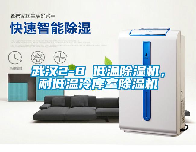 武漢2-8℃低溫除濕機，耐低溫冷庫室除濕機