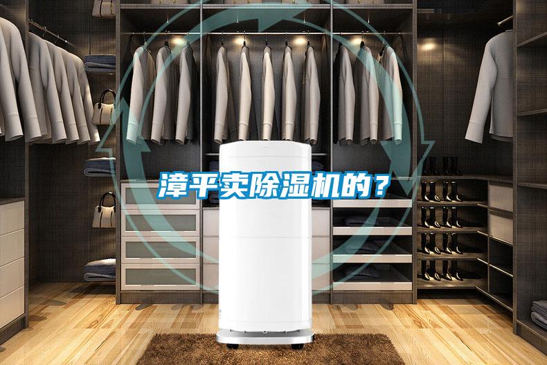 漳平賣除濕機的？