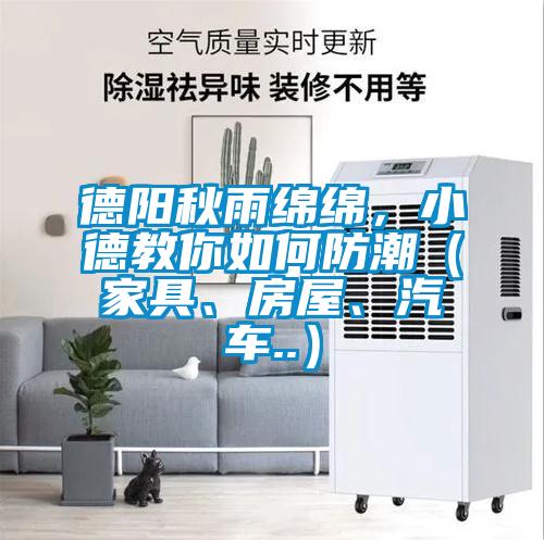德陽秋雨綿綿，小德教你如何防潮（家具、房屋、汽車..）