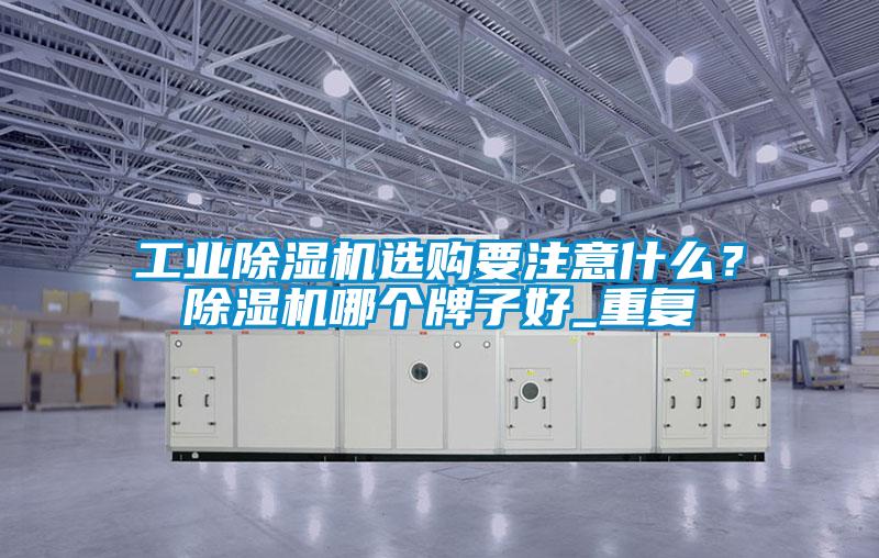 工業除濕機選購要注意什么？除濕機哪個牌子好_重復
