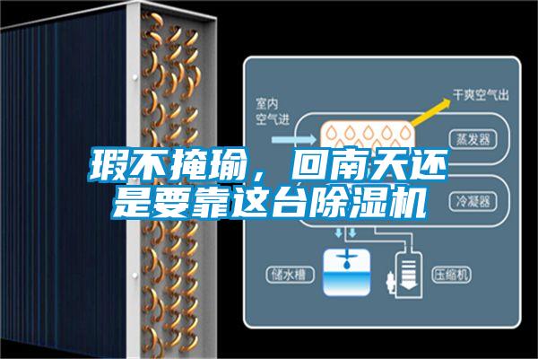 瑕不掩瑜，回南天還是要靠這臺除濕機