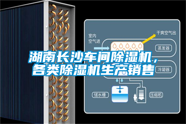 湖南長沙車間除濕機，各類除濕機生產銷售