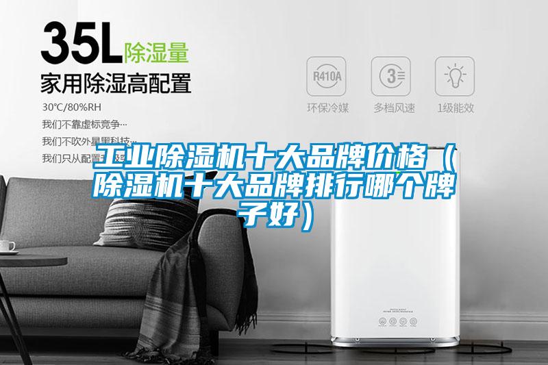 工業除濕機十大品牌價格（除濕機十大品牌排行哪個牌子好）