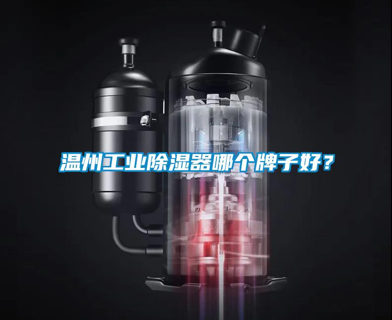 溫州工業除濕器哪個牌子好？