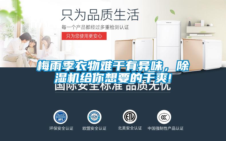 梅雨季衣物難干有異味，除濕機給你想要的干爽!