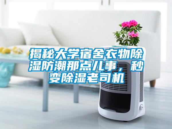 揭秘大學宿舍衣物除濕防潮那點兒事，秒變除濕老司機