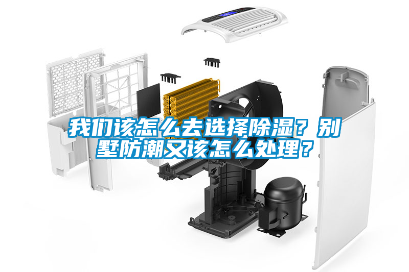 我們該怎么去選擇除濕？別墅防潮又該怎么處理？