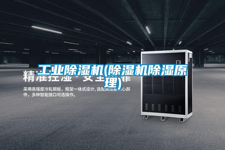 工業除濕機(除濕機除濕原理)