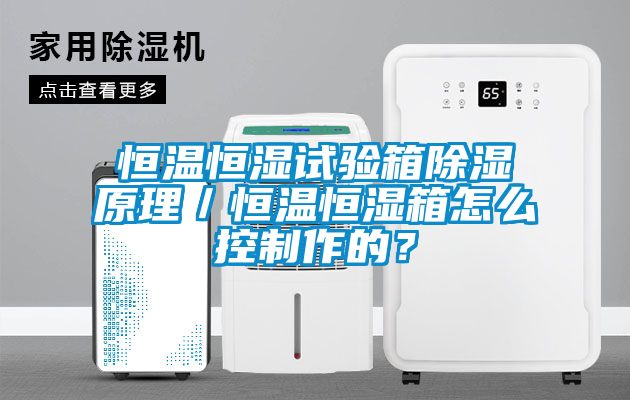 恒溫恒濕試驗箱除濕原理／恒溫恒濕箱怎么控制作的？