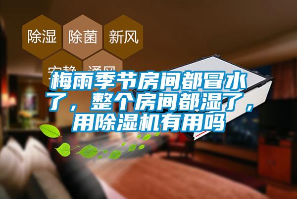 梅雨季節房間都冒水了，整個房間都濕了，用除濕機有用嗎