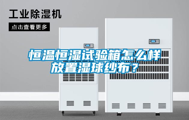 恒溫恒濕試驗箱怎么樣放置濕球紗布？