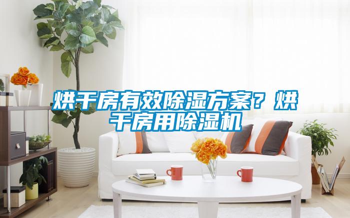 烘干房有效除濕方案？烘干房用除濕機