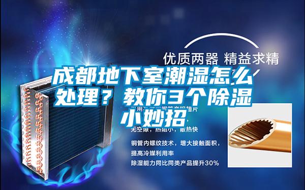 成都地下室潮濕怎么處理？教你3個除濕小妙招