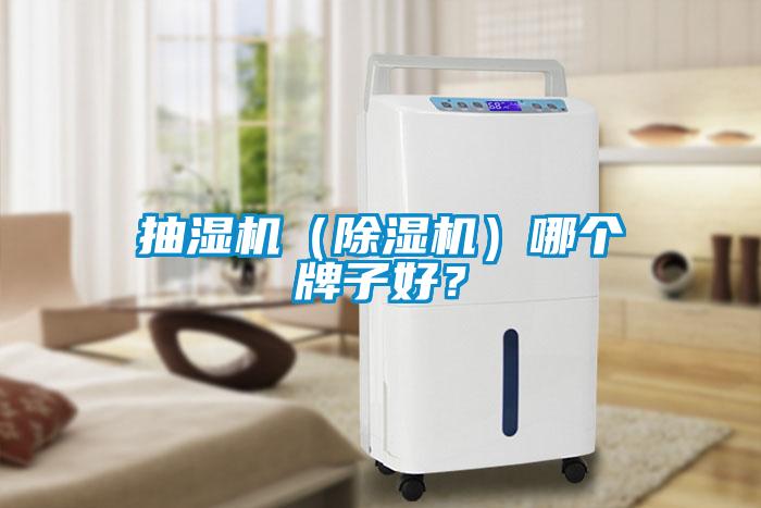 抽濕機（除濕機）哪個牌子好？