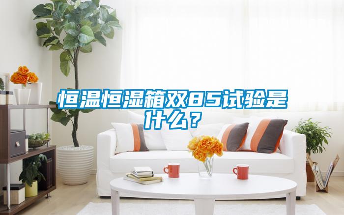 恒溫恒濕箱雙85試驗是什么？