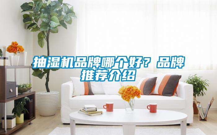 抽濕機品牌哪個好？品牌推薦介紹