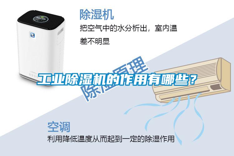 工業除濕機的作用有哪些？