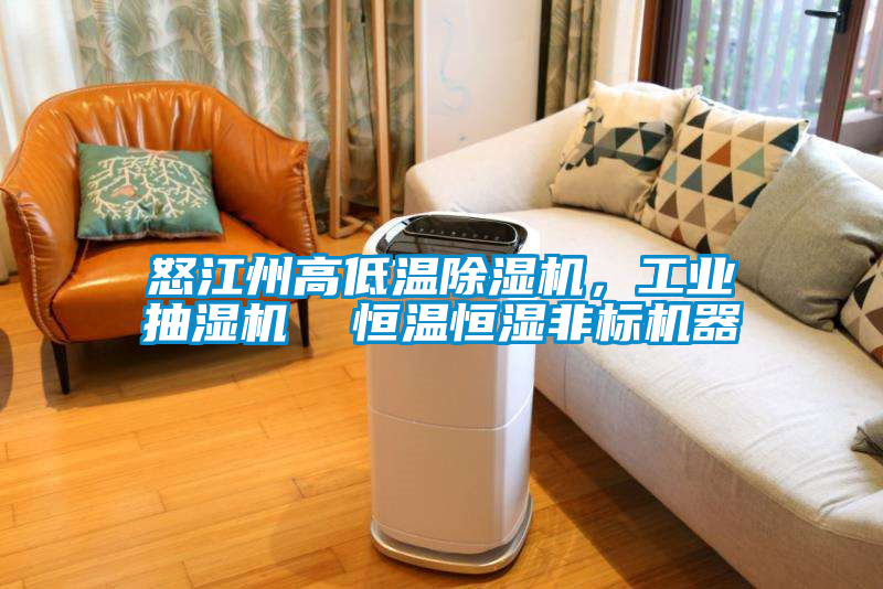 怒江州高低溫除濕機，工業抽濕機  恒溫恒濕非標機器