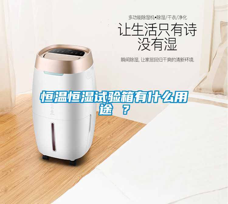 恒溫恒濕試驗箱有什么用途 ？