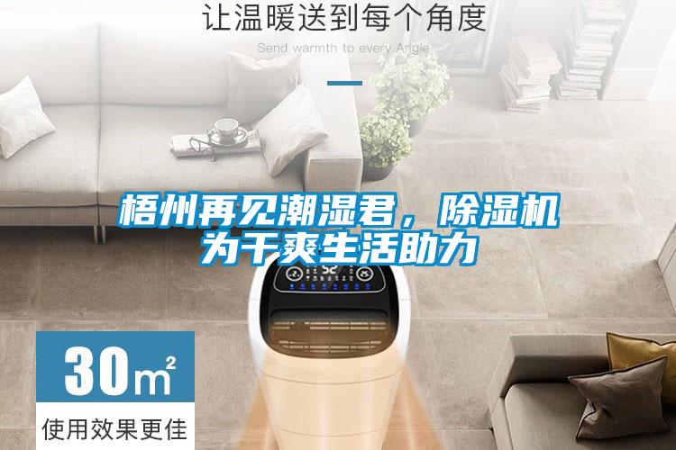 梧州再見潮濕君，除濕機為干爽生活助力