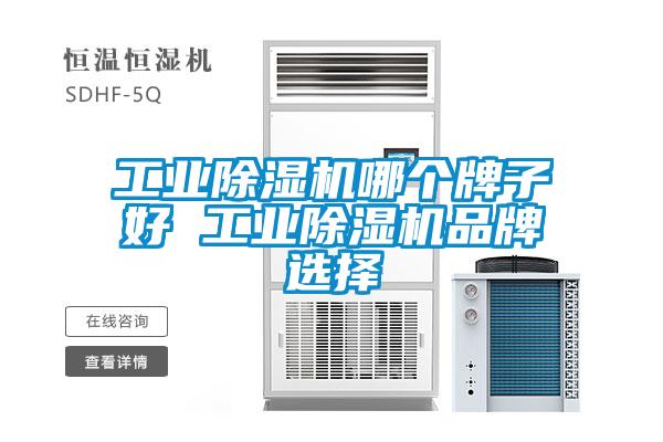 工業除濕機哪個牌子好 工業除濕機品牌選擇