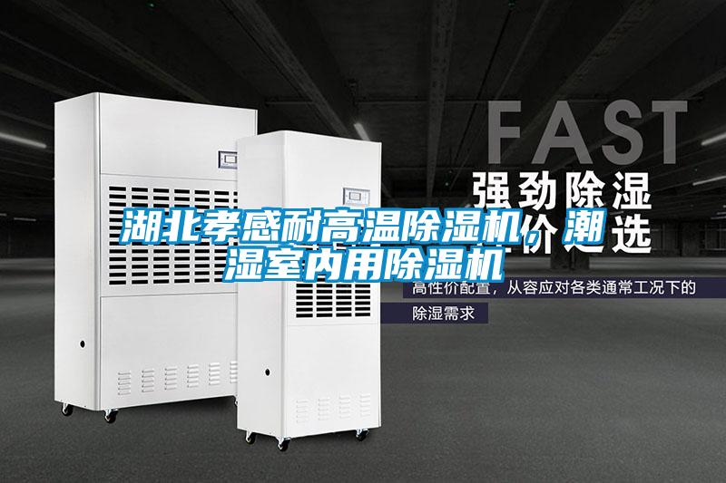 湖北孝感耐高溫除濕機，潮濕室內用除濕機
