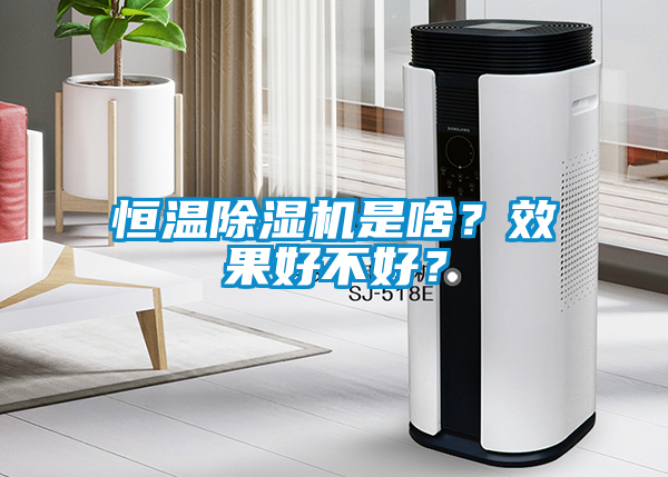 恒溫除濕機是啥？效果好不好？