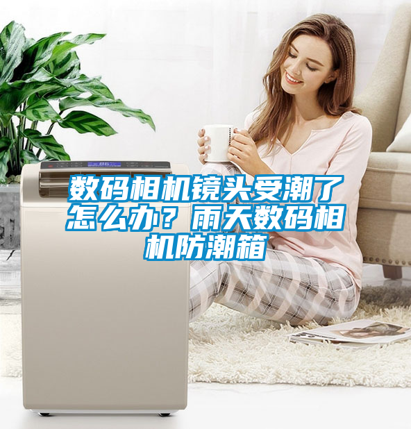 數碼相機鏡頭受潮了怎么辦？雨天數碼相機防潮箱