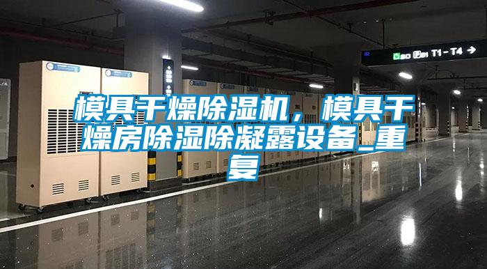 模具干燥除濕機，模具干燥房除濕除凝露設備_重復