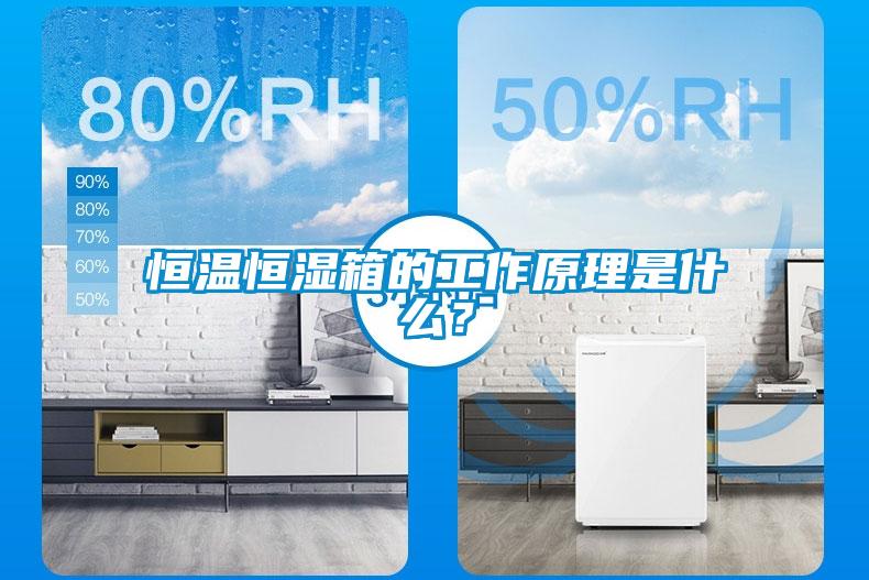 恒溫恒濕箱的工作原理是什么？