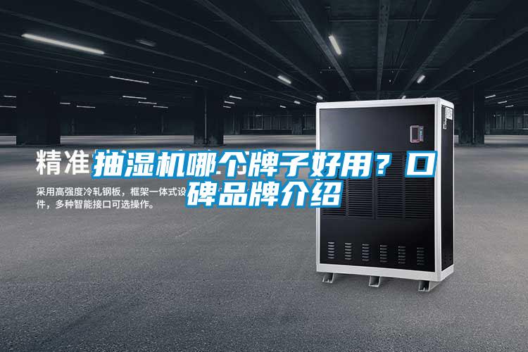 抽濕機哪個牌子好用？口碑品牌介紹