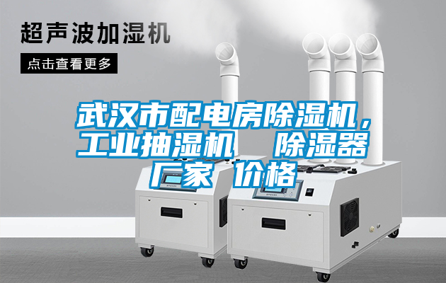 武漢市配電房除濕機，工業抽濕機  除濕器廠家 價格