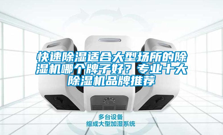 快速除濕適合大型場所的除濕機哪個牌子好？專業十大除濕機品牌推薦