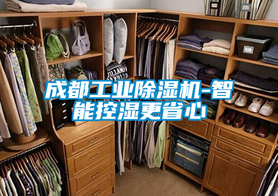 成都工業除濕機-智能控濕更省心