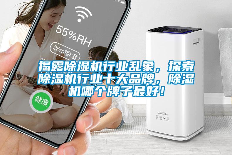 揭露除濕機行業亂象，探索除濕機行業十大品牌，除濕機哪個牌子最好！