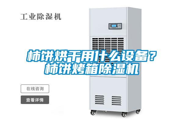 柿餅烘干用什么設備？柿餅烤箱除濕機