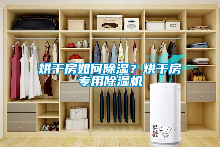 烘干房如何除濕？烘干房專用除濕機